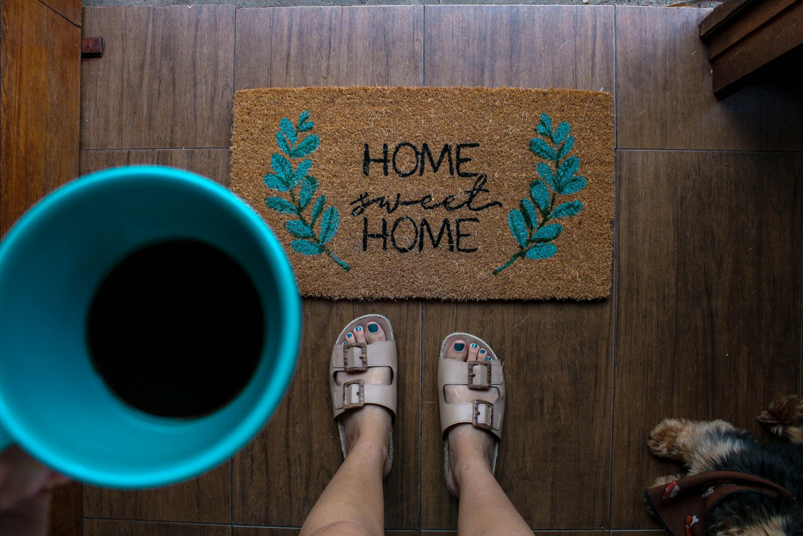 Understanding Home Care vs. Home Health: Key Differences and Their Collaborative Role